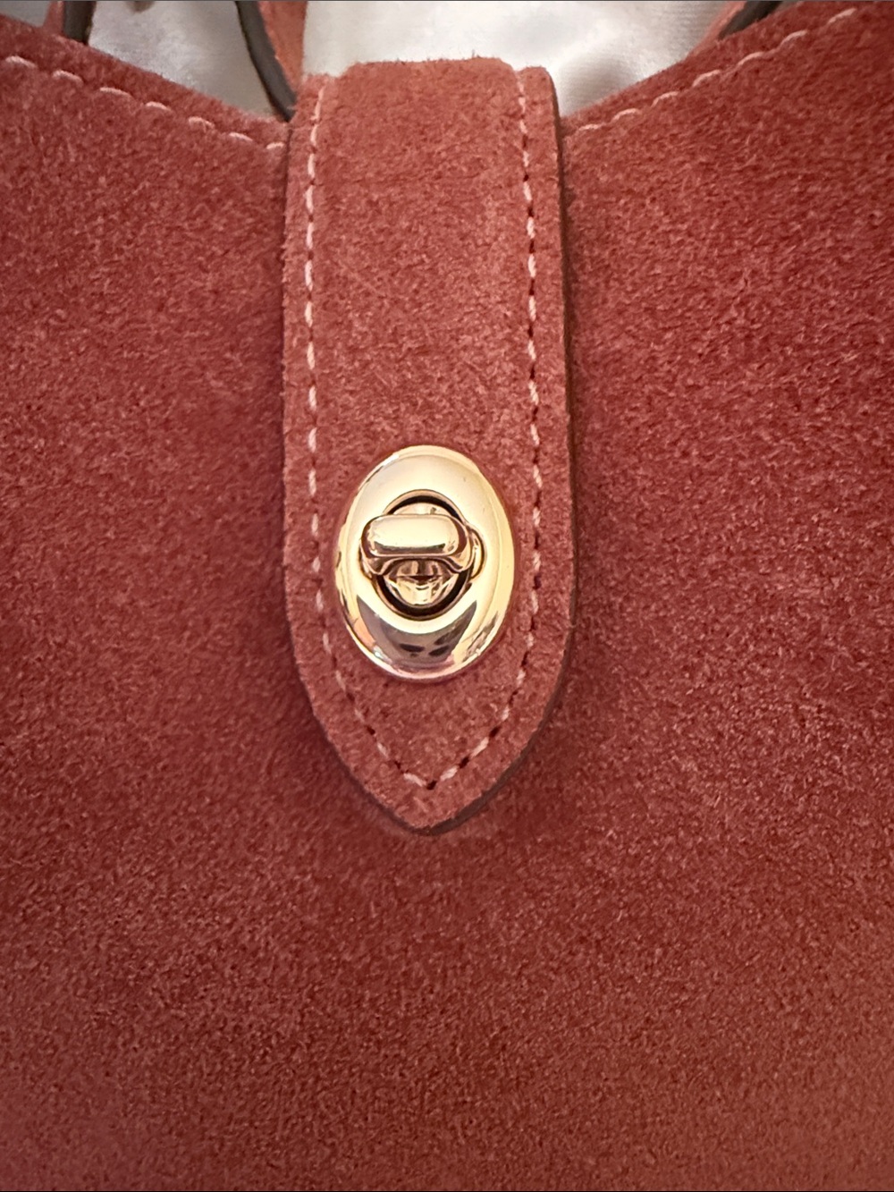 ๐คCOACH NWT Clayโ Suede Hadley Mini Turn-lock Crossbody with Gold Hardware - Picture 6 of 11